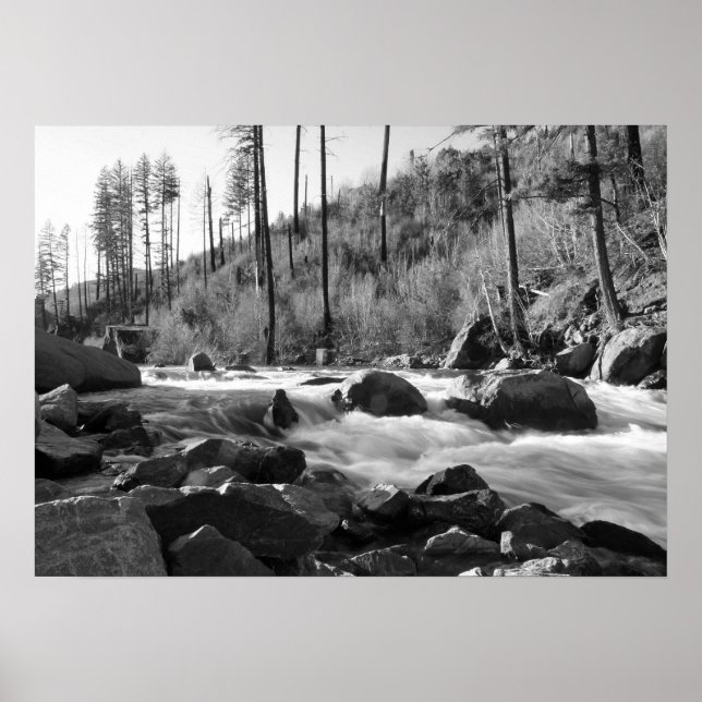 Poster "American River", noir et blanc (Devant)