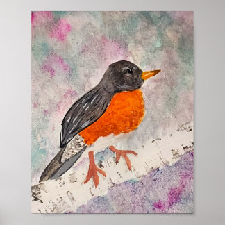 Poster American Robin
