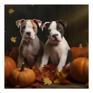 Poster American Staffordshire Puppy Automne Délice