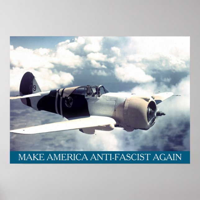 Poster American WWII Plane MAAFA (Devant)