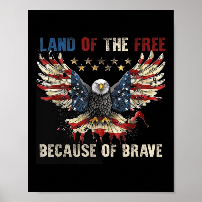 Poster Amérique Aigle Patriotique Pays De La Liberté Parc (Devant)