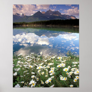 Poster Amérique du Nord, Canada, Alberta, Banff National 