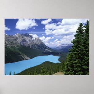 Poster Amérique du Nord, Canada, Alberta, Jasper 6