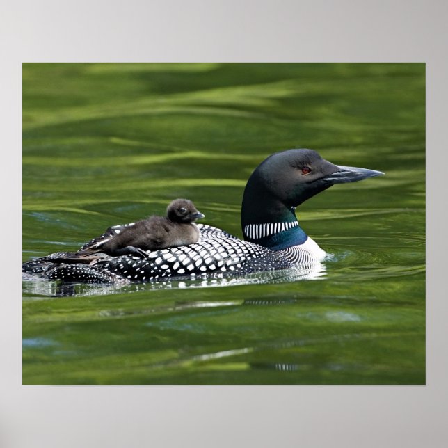 Poster Amérique du Nord, Canada, Colombie-Britannique, La (Devant)