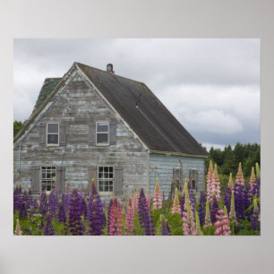 Poster Amérique du Nord, Canada, Île-du-Prince-Édouard