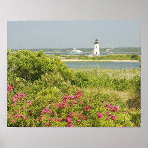Poster Amérique du Nord, États-Unis, Massachusetts, Marth