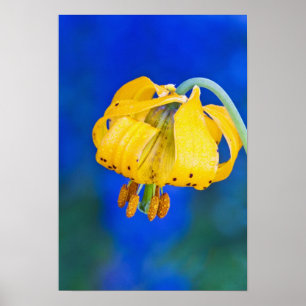 Poster Amérique du Nord, États-Unis, Washington, Jeux oly