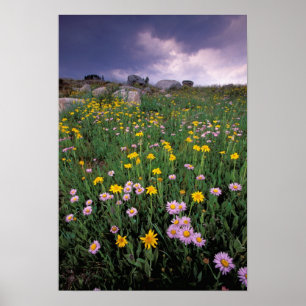 Poster Amérique du Nord, États-Unis, Wyoming, Yellowstone