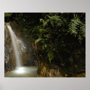 Poster Amérique du Sud, Équateur, versant est de la