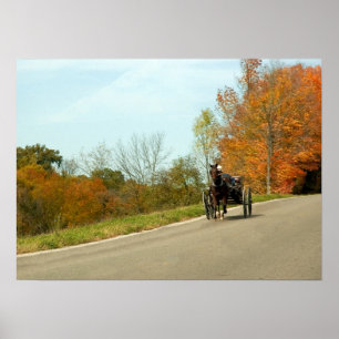 Poster Amich Buggy Print