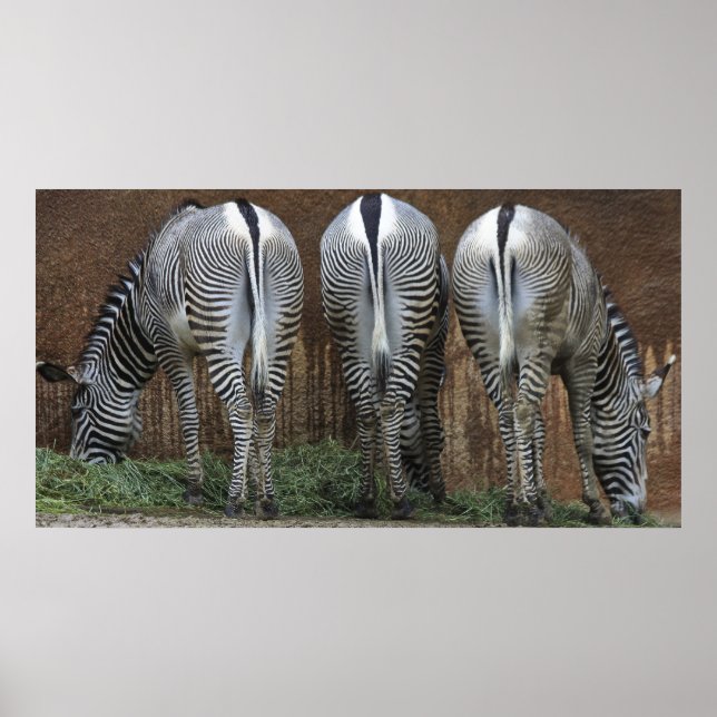 Poster Amis (Devant)
