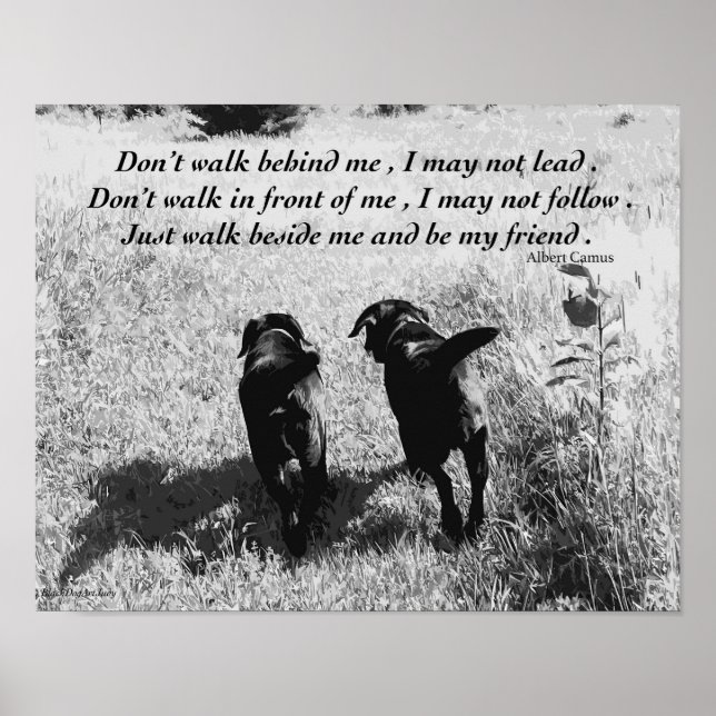 Poster Amis - Black Lab (Devant)