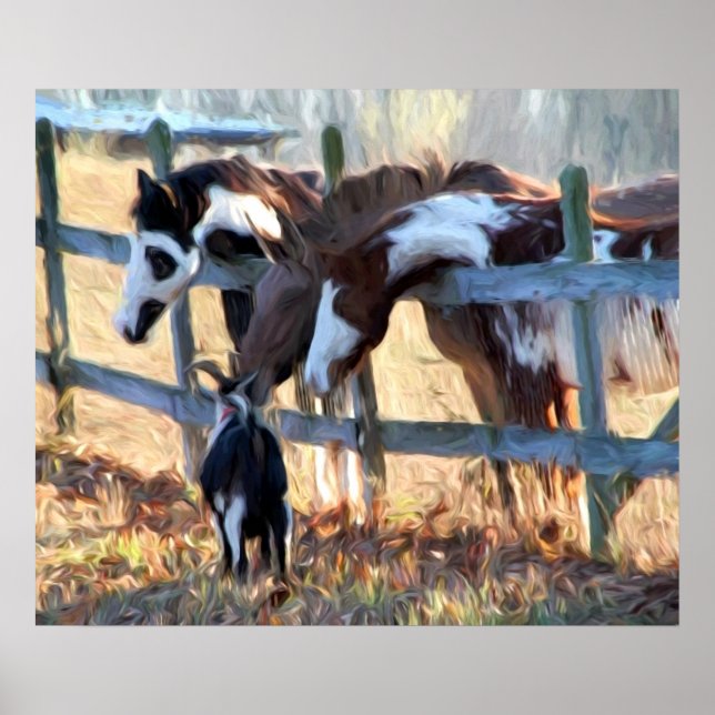 Poster Amis de la clôture (Devant)