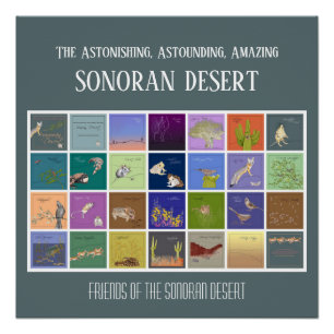 Poster Amis du désert de Sonoran