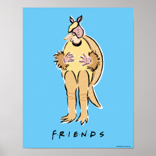 Poster AMIS™   Holiday Armadillo