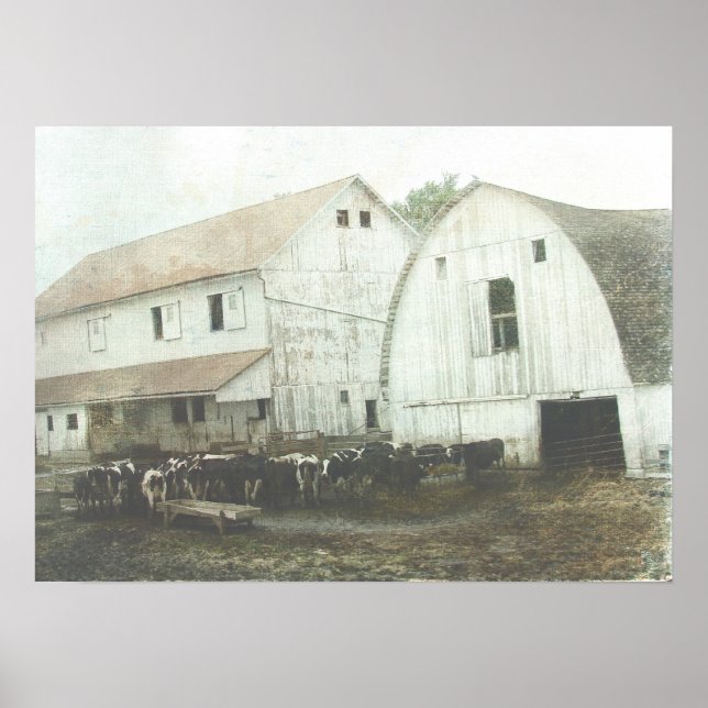 Poster Amish (Devant)
