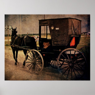 Poster Amish Buggy