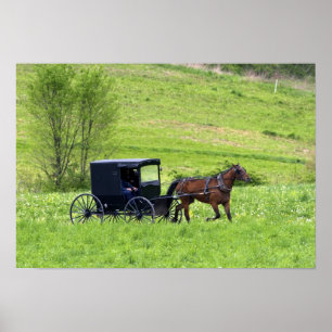 Poster Amish horse and buggy near Berlin, Ohio.