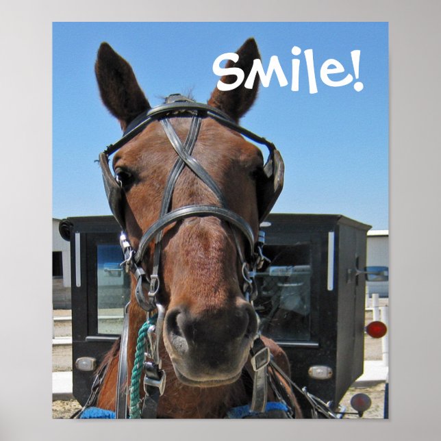 Poster Amish Smile (Devant)