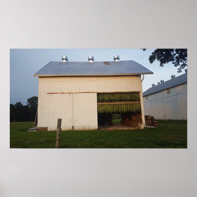 Poster Amish Tobacco Barn/Pennsylvania (Devant)