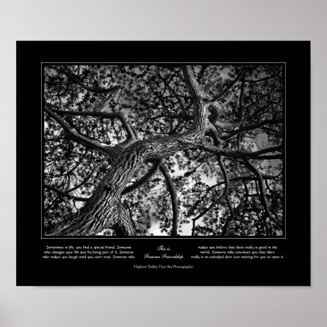 Poster Amitié pour toujours, Pin canadien, Art (Devant)