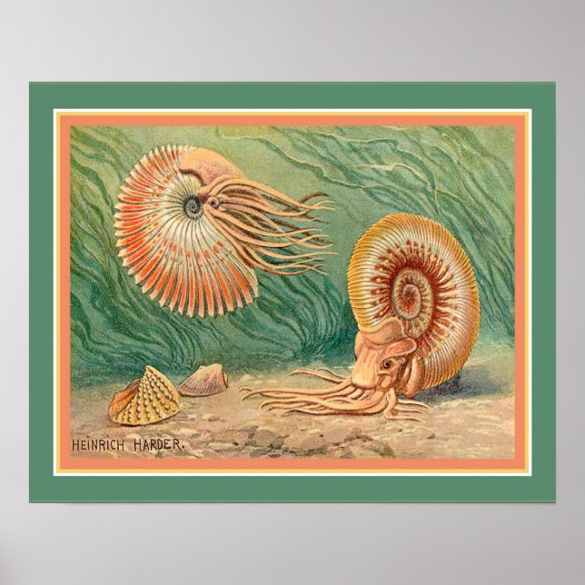 Poster "Ammonoid" par Heinrich Harder ca. 1916 (Devant)