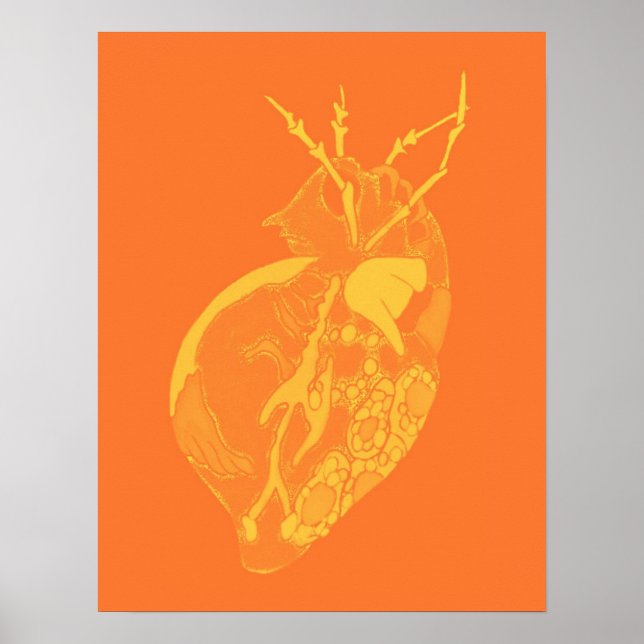 Poster Amoeba Minx : Peau Tangerine (Devant)