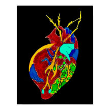 Amoeba Minx : Toutes les fissures