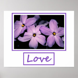 Poster Amour