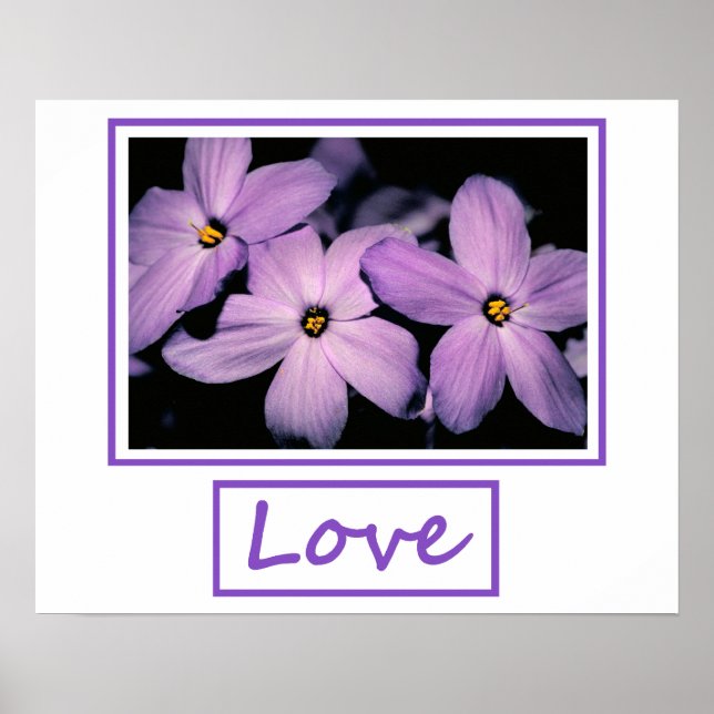 Poster Amour (Devant)