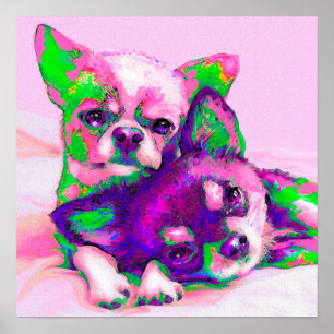 Poster amour chihuahua