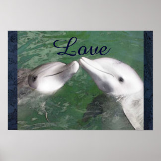 Poster Amour dauphin poisson eau marine océan animal mign