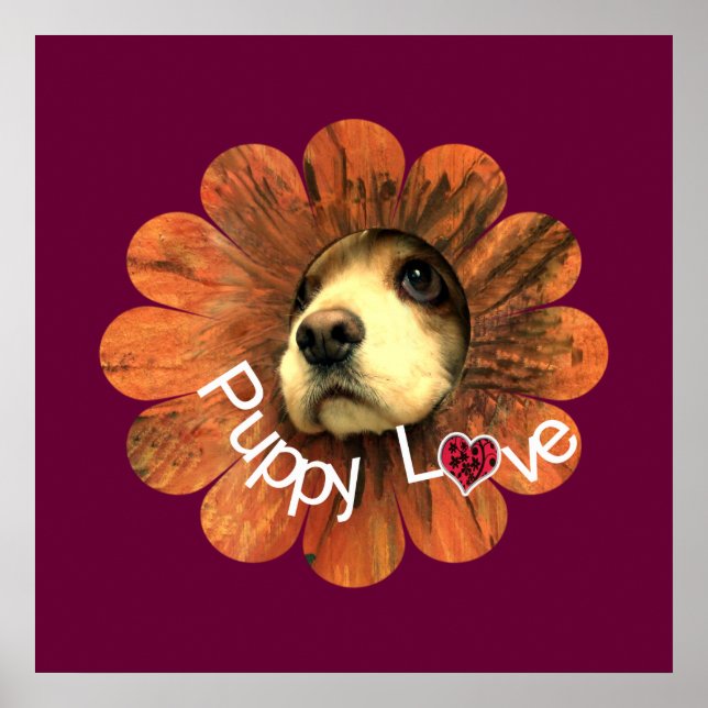 Poster Amour de chiot (Devant)
