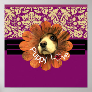 Poster Amour de chiot