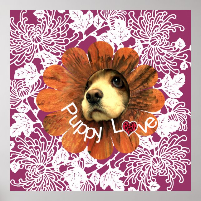 Poster Amour de chiot (Devant)
