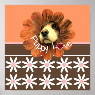 Poster Amour de chiots