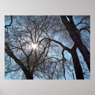 Poster Amour de la nature