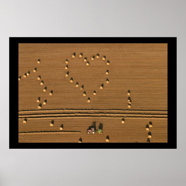 Poster Amour d'été (Devant)