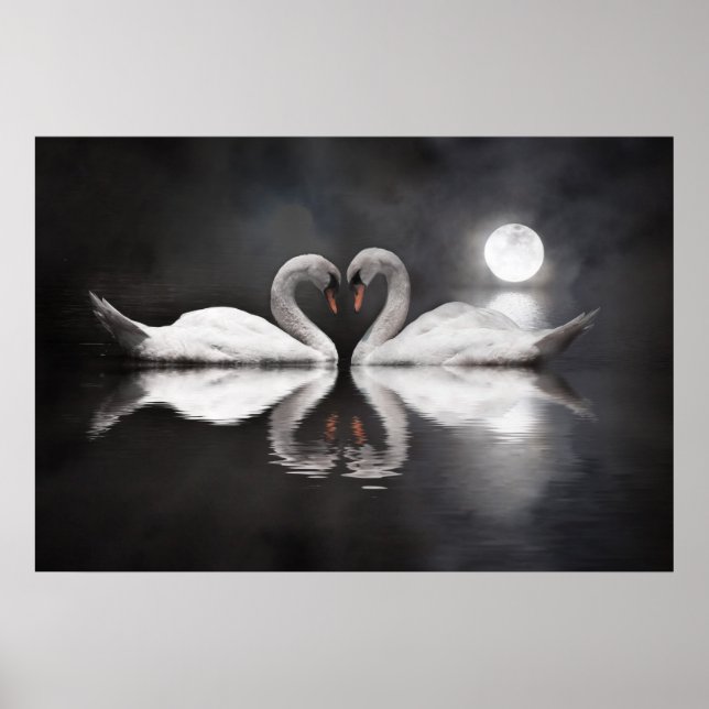 Poster Amour du lac de Swan (Devant)