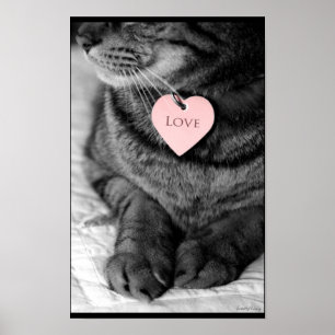 Poster Amour vrai