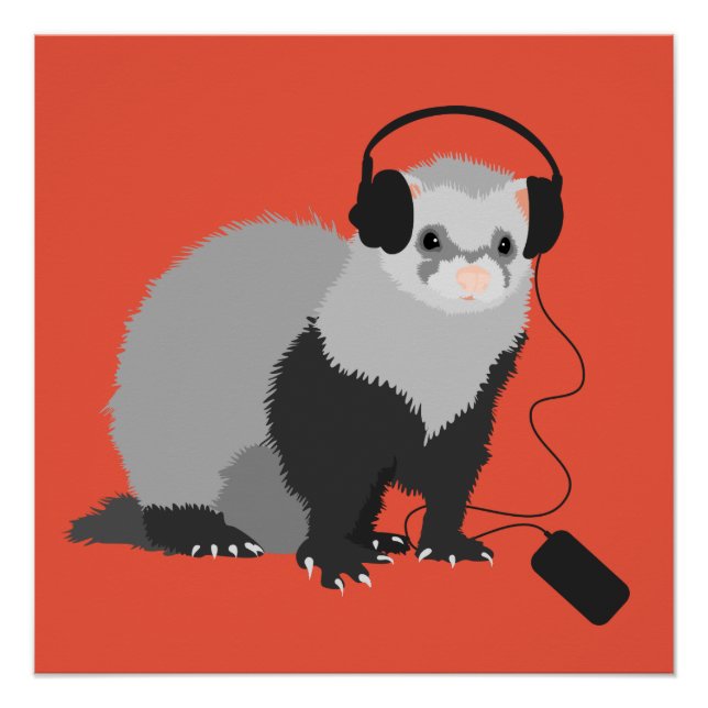Poster Amoureux de la musique furet (Devant)