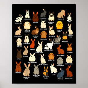 Poster Amoureux de lapin mignon éleveur de lapin