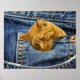 Poster Amoureux de les chats mignons Garder cadeau