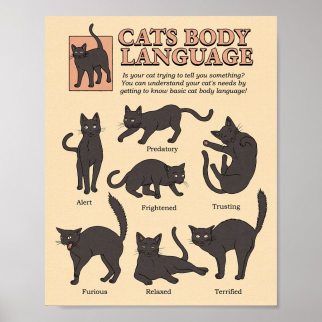 Poster Amoureux des chats Cats Langue du corps (Devant)