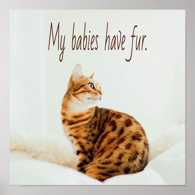 Poster Amoureux des chats, mignon Kitten mème, mes bébés  (Devant)