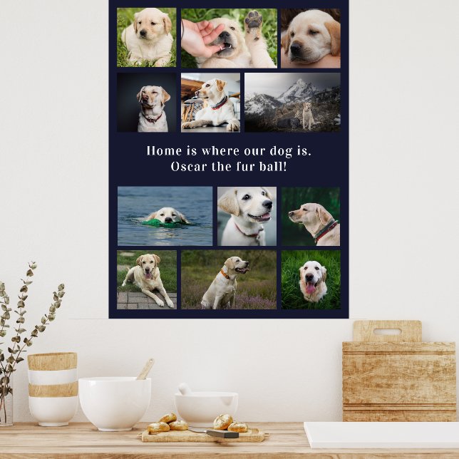 Poster Amoureux des chiens 12 Photos La maison est là où  (Cuisine)