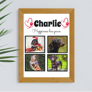 Poster Amoureux des chiens personnalisé 4 photo collage