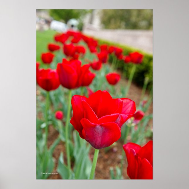 Poster Ampoules d'échappement, gros plan (Devant)