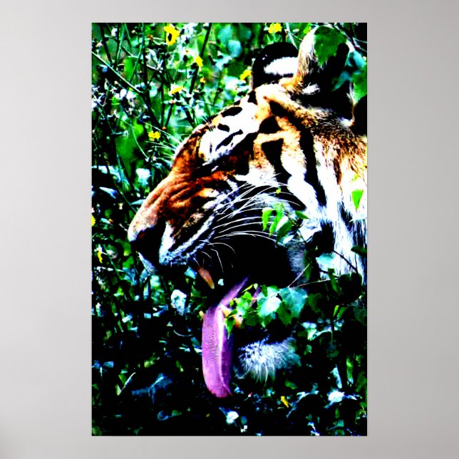 Poster Amur Tiger wapa (Devant)