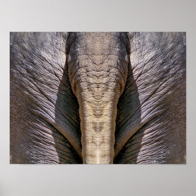 POSTER AMUSANT ÉLÉPHANT (Devant)